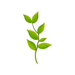 Detailed flat vector icon of branch with fresh leaves. Small sprig with bright green foliage. Nature and botany theme