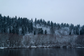 Winter forest landscape - trees covered snow and small river