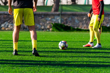 Obraz premium soccer player with ball on field