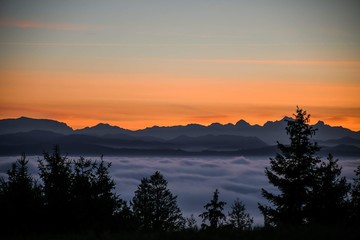 Nebelmeer im Sonnenuntergang