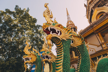 Fototapeta na wymiar Thai dragon or Snake god Nagas statue at Tiger cave temple (Wat Thum Sua) before the new Chedi, Tiger Cave Temple, Wat Tham Sua, Krabi, Thailand, Asia