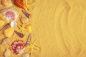 Fototapeta na wymiar Seashells on sand. Sea summer vacation background