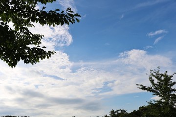 空　夏　午後　栃木