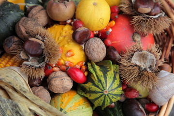 Autumn Harvest