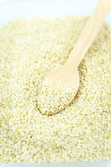 Wooden spoon inside white sesame seed.