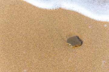 Spade Shaped Stone on a Sandy Beach with Surf