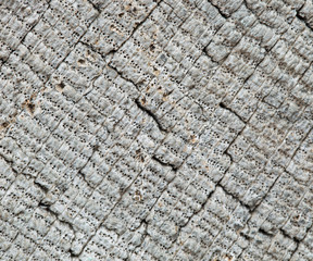 Fototapeta premium Very Old Wood Background, closeup. wood texture . old and very aged wood texture close up. backgrounds, texture is very old wood in the process of prolonged natural decomposition and weathering. 
