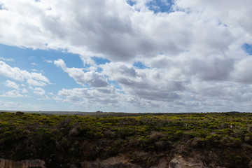 Greenery landscape view with cloudy blue sky.