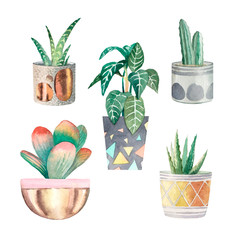set of watercolor home plants 4