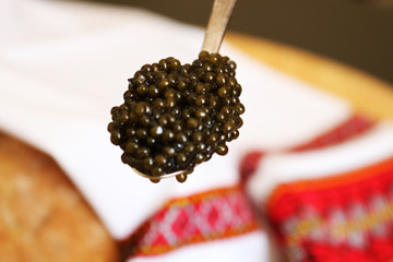 Black beluga caviar in silver spoon 