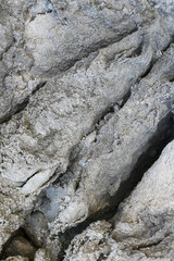 Chapped desert ground texture. White grey sand with stone background.