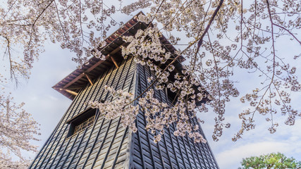  	春の沼田城址の風景