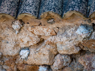 detalle de muro rustico y tejado árabe con conchas incrustadas