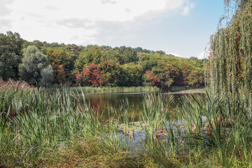 Autumn lake view in a park. Landscape. First touch of bright seasonal colors