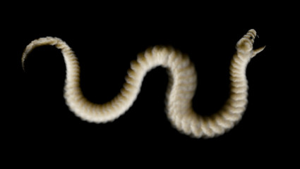 Brown smoky snake with open mouth and poisonous fangs, isolated on black background. Abstract vector illustration of asp from smoke texture