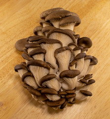Raw oyster mushrooms (pleurotus) on wooden background