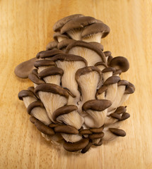 Raw oyster mushrooms (pleurotus) on wooden background