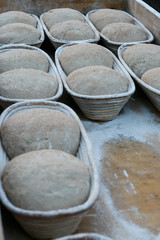 Brot