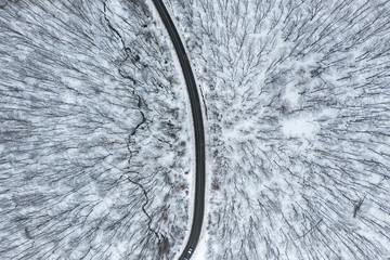 Aerial view of winter forest road