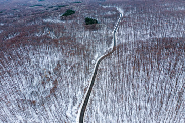 Aerial view of winter forest road