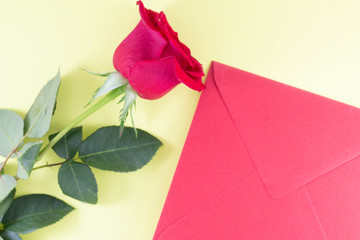 A fresh red rose big bud and petals with green leaves near closed red envelope Yellow background Invitation or Felicitation Minimalist concept Copy Space and template