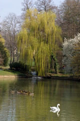 Fototapeta premium Beautiful spring landscape