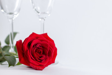 A fresh red rose big bud and petals with green leaves on white background and two champagne glasses Empty space Felicitation Minimalist concept Copy Space and template
