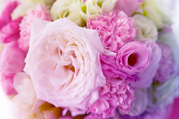 Soft color Roses Background