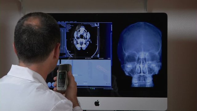 Doctor with medical scans