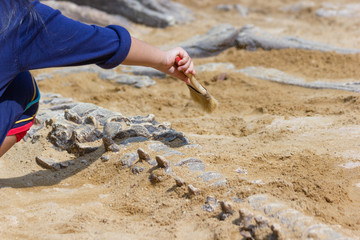 Children learning about, Excavating dinosaur fossils simulation in the park.  © piyaphunjun