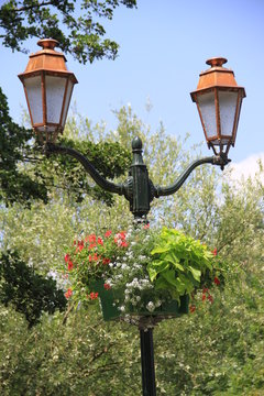Cand&eacute;labre fleuri