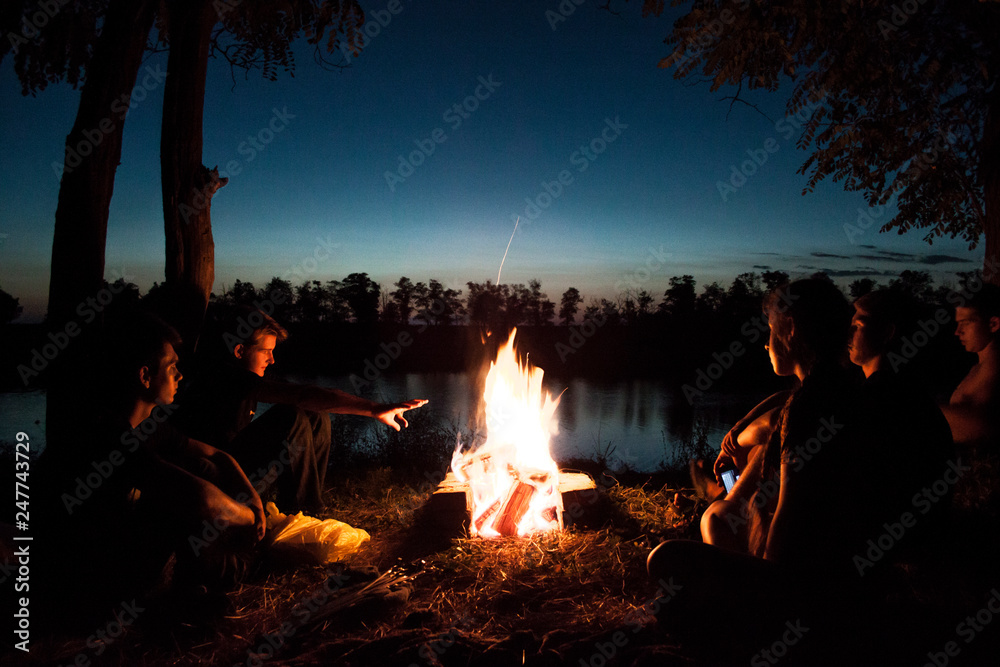 Wall mural fire in the forest