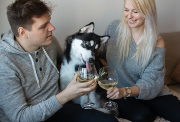 Celebrating anniversary. Young loving couple with cute husky dog sitting close to each other hugging and drinking white wine © Zelma