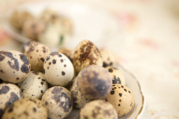 A lot of eggs of quail.