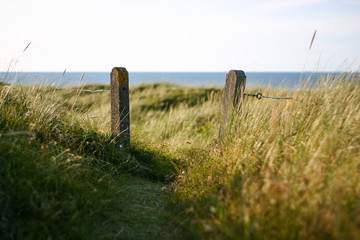 fence with gate in the field like dunes