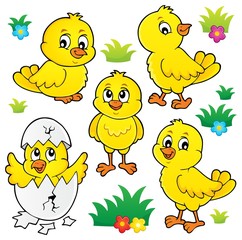 Cute chickens topic set 1