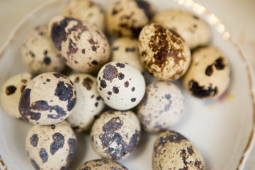 Obraz premium Quail eggs in an old plate.