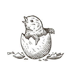 Hand drawn Easter egg, vector