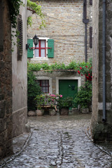 Fototapeta na wymiar Street in small town Groznjan in Istra, Croatia