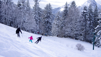 sports d'hiver - ski de piste