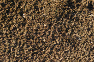 Dry ground texture