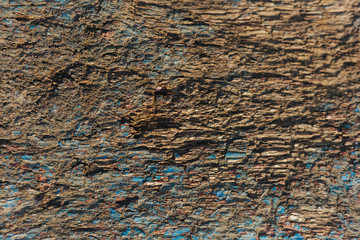 Wood texture. Old long painted tree. The background.