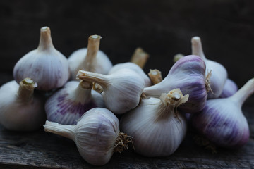 Garlic young only collected from the garden