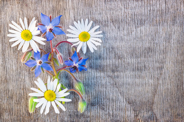 Obraz premium Bouquet of daisies and blue flowers of cucumber grass on a wooden background vintage, flat lay, copy space, mock up