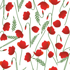 Seamless pattern of poppy stems, leaves and flowers isolated on white background.