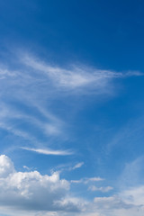 fluffy white cloud moving above clear blue sky
