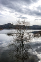 Fototapeta premium Geumpyeong Reservoir Park