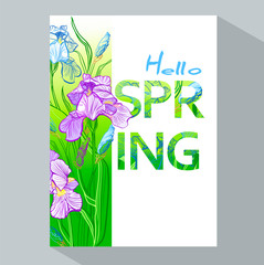 Hello spring background with Irises flowers. Spring placard, poster, flyer, banner invitation card.