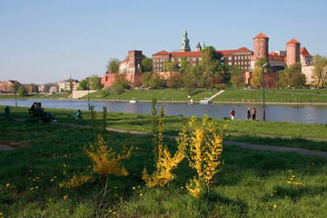 Spring in Krakow (Wawel and Vistula river), Poland - obrazy, fototapety, plakaty