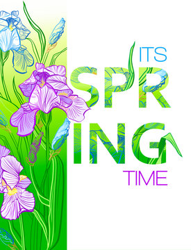 Its spring time background with Irises flowers. Spring placard, poster, flyer, banner invitation card.